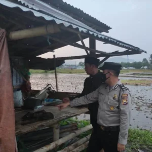 Saat Berteduh, Ujang Tewas Tersambar Petir