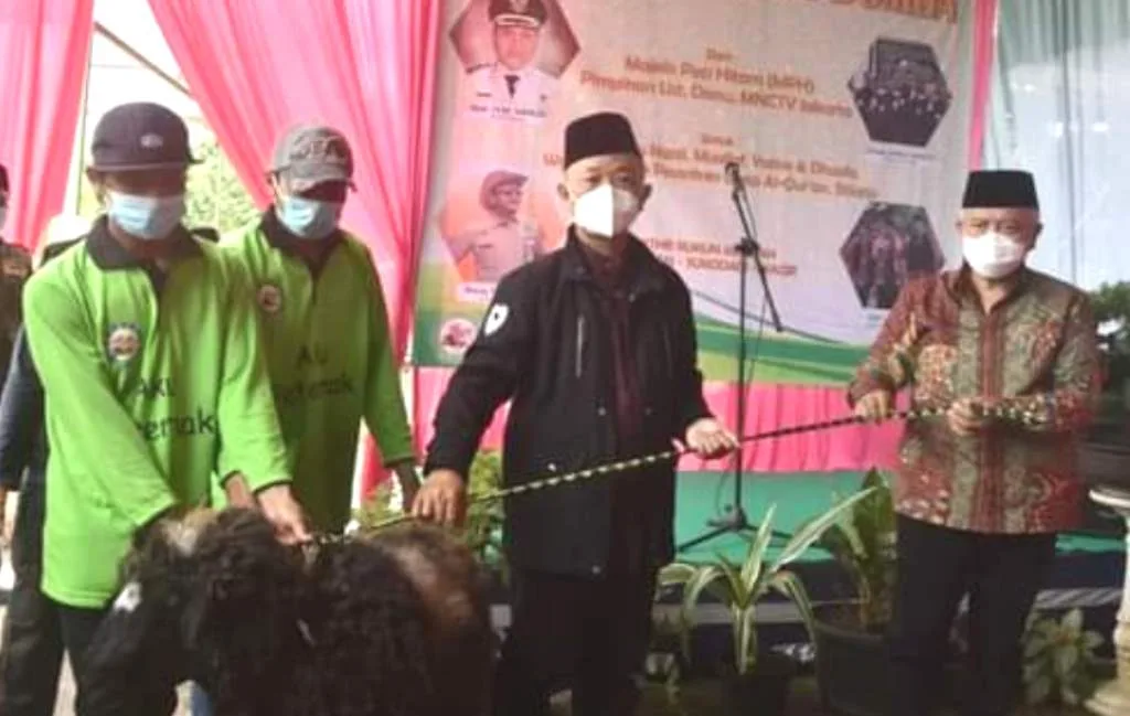 Bupati Malang Serahkan 100 Ekor Domba Hibah dari MPH