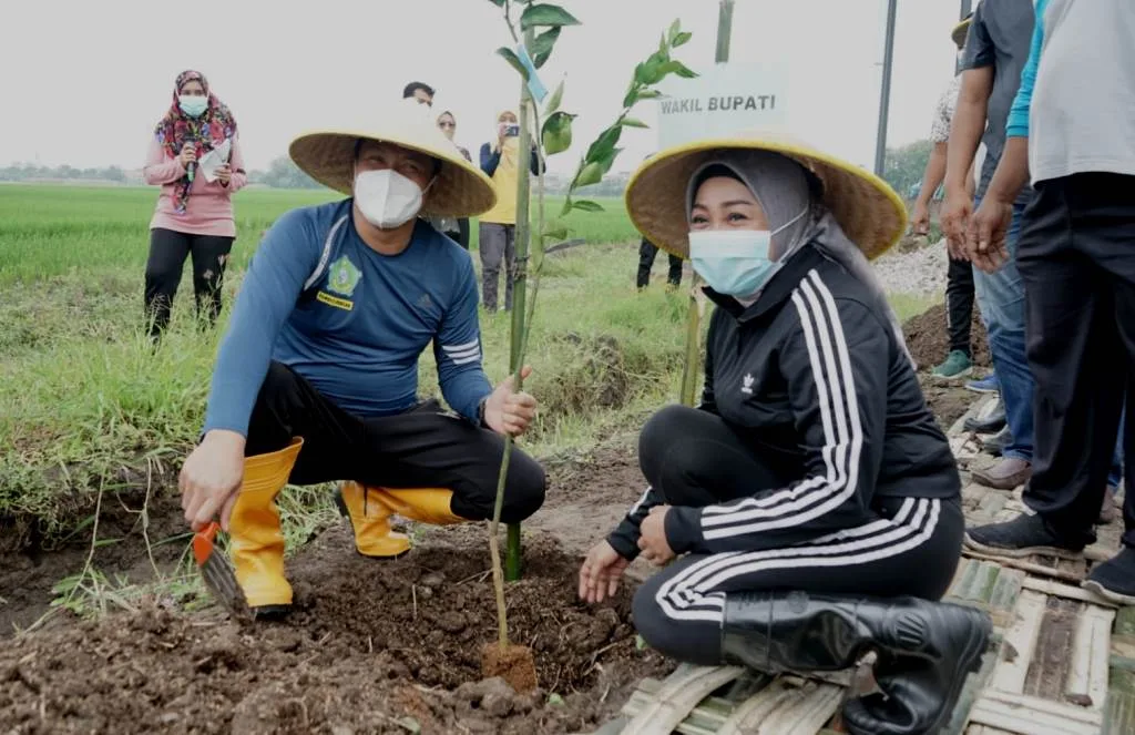 Desa Pabean Sedati Tanam 500 Bibit Pohon Jeruk Siem  