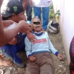 Pria Ini Meninggal Dunia Setelah Menabrak Gerobak Es