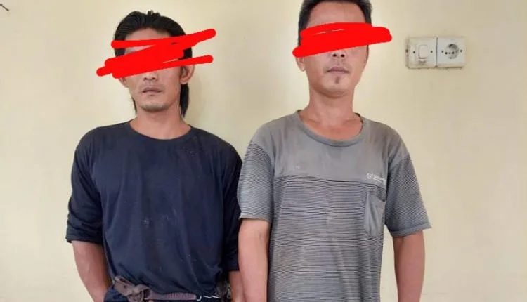 Curi Buah Sawit, 2 Petani ini Terancam di Penjara
