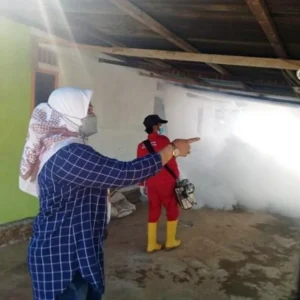 Atasi DBD Bupati Gusnan Imbau Masyarakat Galakkan 3M