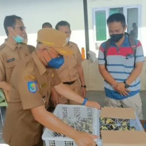 Bengkulu Selatan Gelar Pasar Tani Peringati HUT ke-73