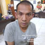 Curi Mobil Fortuner, Warga Rawa Makmur Ditangkap Sat Reskrim Polres Bengkulu Utara