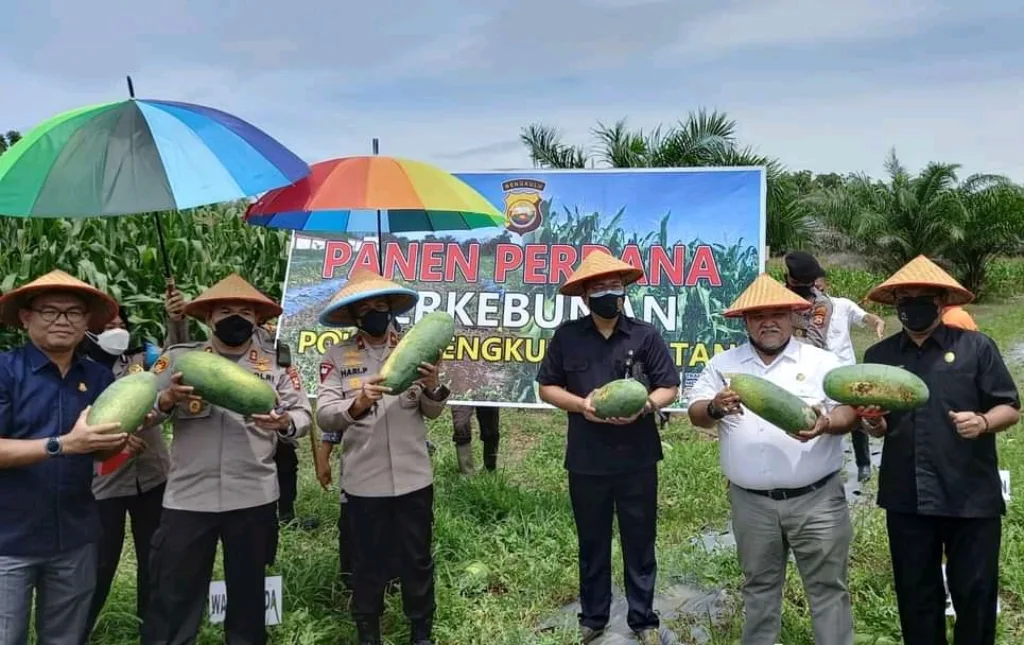 Ketua DPRD Panen Semangka dan Jagung di Polres Bengkulu Selatan