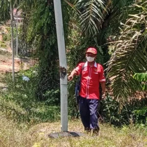 Listrik PLN Belum Juga Masuk Desa Bukit Mulya, Padahal Dekat Kota