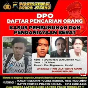 Polsek Wonosalam Serahkan DPO ke Polres Kendal Polsek Wonosalam Serahkan DPO ke Polres Kendal