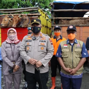 Aparat Gabungan Perketat Pengawasan Lalulintas Hewan di Demak