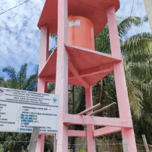 Carut Marut DD 2021 Desa Sibak, Camat Ipuh Lempar Masalah ke Kades Baru