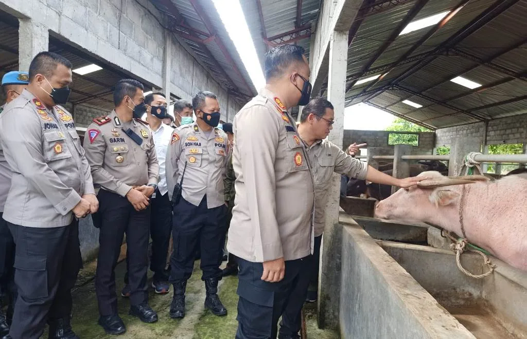 Cegah Virus PMK, Kapolres Demak Cek Peternakan Warga