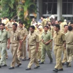 Kaget Gaji Kecil, Ratusan CPNS Yang Lolos Tes Mengundurkan Diri Peraturan Baru, Jam Kerja Resmi PNS dan PPPK Mulai Berlaku Kemenkeu dan KEM-PPKF 2025 Rencanakan Kenaikan Gaji PNS