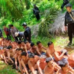 Konflik Agraria 40 Warga Mukomuko di Tangkap, STaB Angkat Bicara