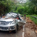 Sedang Melintas, Mobil Warga Sumsel Ditimpa Pohon Tumbang