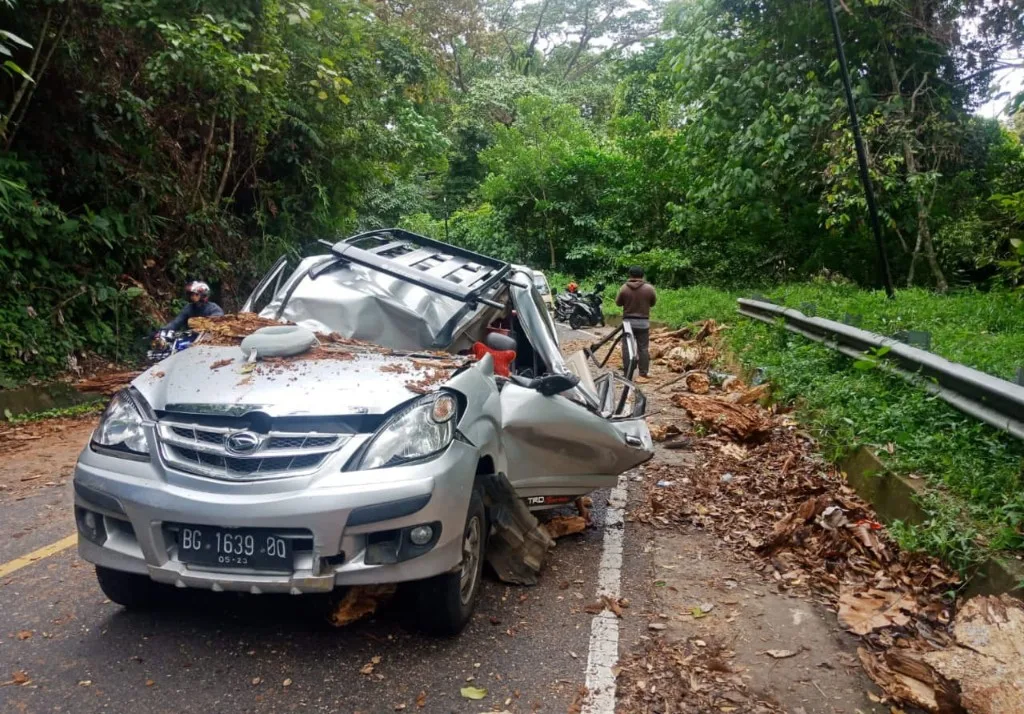 Sedang Melintas, Mobil Warga Sumsel Ditimpa Pohon Tumbang