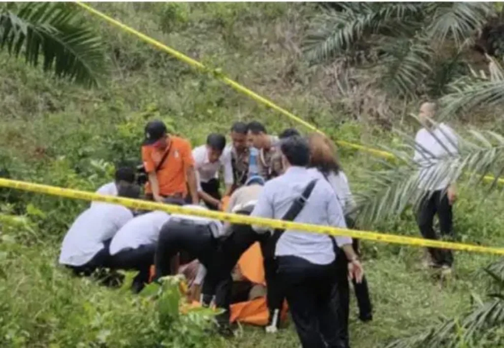 Angota TNI di Seluma Ditemukan Tewas Penuh Luka Bacok di Kebun Miliknya