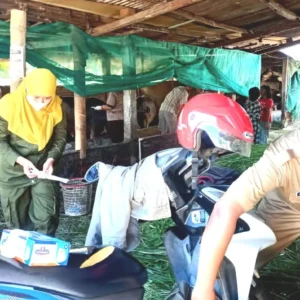 Bhabinkamtibmas Bersama Puskeswan Wonosalam Cek Ternak Warga