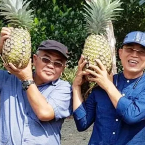 Gusnan Mulyadi : Jonior Hafis Adalah Birokrat Terbaik di Daerah Ini