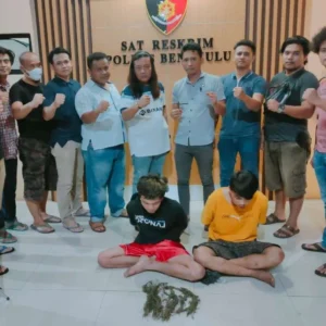 Hasil Pengembangan Pelaku Curanmor Lain Tertangkap Beserta Ganja Paket Besar Hasil Pengembangan Pelaku Curanmor Lain Tertangkap Beserta Ganja Paket Besar