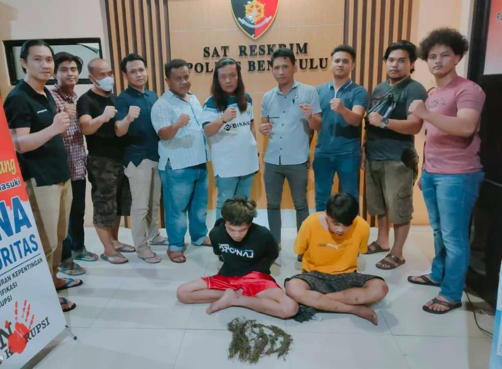 Hasil Pengembangan Pelaku Curanmor Lain Tertangkap Beserta Ganja Paket Besar