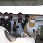 Jelang Idul Adha, Kapolres dan Bupati Demak Tinjau Vaksinasi PMK Hewan Ternak