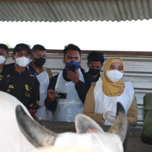 Jelang Idul Adha, Kapolres dan Bupati Demak Tinjau Vaksinasi PMK Hewan Ternak Jelang Idul Adha, Kapolres dan Bupati Demak Tinjau Vaksinasi PMK Hewan Ternak