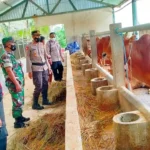 Jelang Idul Adha, Polres Banjarnegara Cek Peternak Sapi Antisipasi Virus PMK 