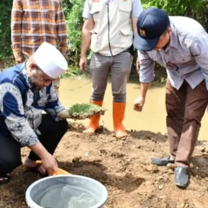 Wali Kota Helmi Lakukan Penghijauan di Bantaran Sungai Walikota Helmi Lakukan Penghijauan di Bantaran Sungai