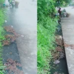 Warga Keluhkan Drainase Mampet, Teror DBD Mengintai Masyarakat