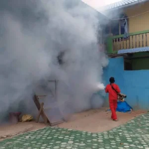 Cegah Penyebaran DBD, Pemukiman Warga Kolong Bawah di Fogging