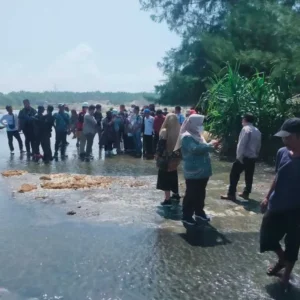 Hasil Sidak, Aktivitas Tambang Besi di Seluma Ditutup Sementara