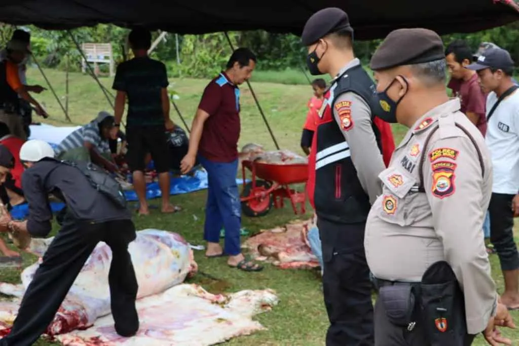 Idul Adha 1443H, Polres Mukomuko Kurban Dua Sapi Satu Kambing
