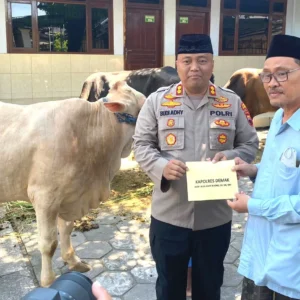 Kapolres Demak Serahkan Sapi Kurban ke Takmir Masjid Agung Demak