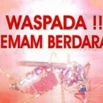 Kasus DBD Muncul di Sei Lakam Barat, Dinkes Diminta Fogging