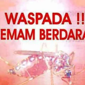 Kasus DBD Muncul di Sei Lakam Barat, Dinkes Diminta Fogging