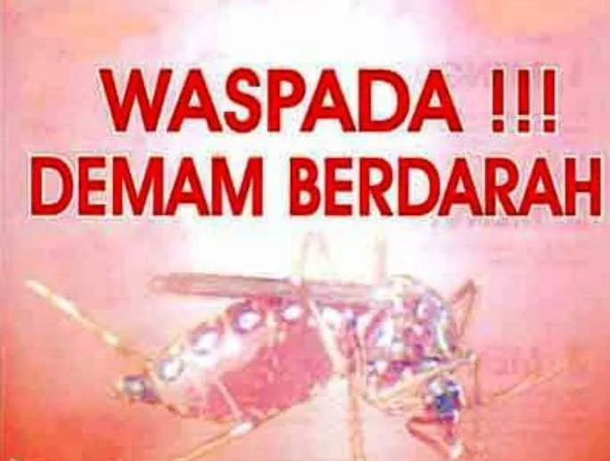 Kasus DBD Muncul di Sei Lakam Barat, Dinkes Diminta Fogging