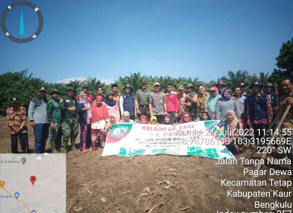 Kelompok Tani Karya Perkasa Kaur Tanam Jagung Perdana