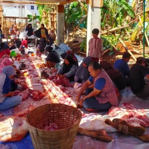 Masjid Raya Candi Lama Hari ini Sembelih 5 Ekor Sapi dan 9 Kambing