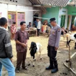 Polres Banjarnegara Cek Peternak dan Pasar Hewan Antisipasi Virus PMK