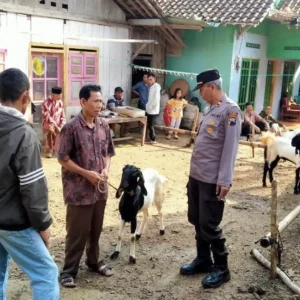 Polres Banjarnegara Cek Peternak dan Pasar Hewan Antisipasi Virus PMK