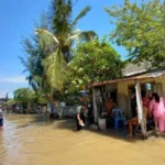 Waspada! BMKG Terbitkan Peringatan Antisipasi Banjir Rob