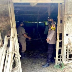 Antisipasi PMK, Kapolsek Gajah Laksanakan Monitoring Ternak