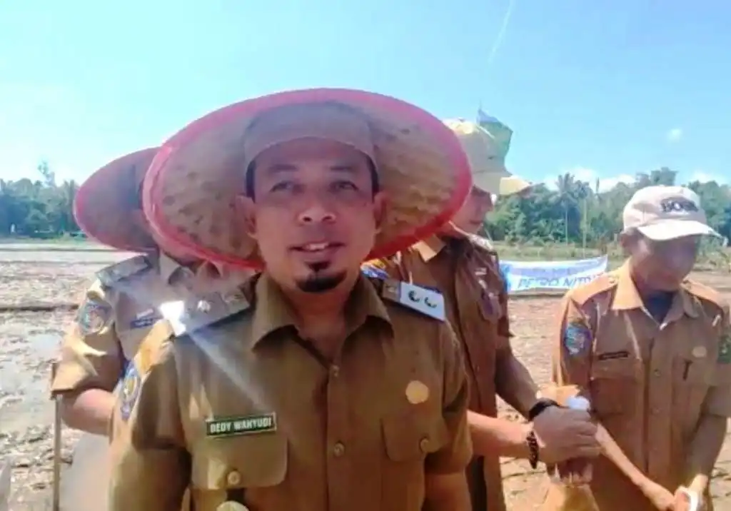 Awali Masa Tanam Padi, Wawali Dedy Terjun Langsung