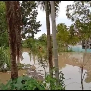 Banjir Datang, Kesehatan Warga Sekitar Penampungan Tinja Kota Bengkulu Terancam