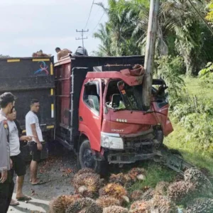 Elak Pengendara Lain, Truk Muatan Sawit Hantam Tiang Listrik