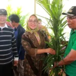 Gubernur Rohidin Beri Bantuan Alsintan dan Bibit Kelompok Tani