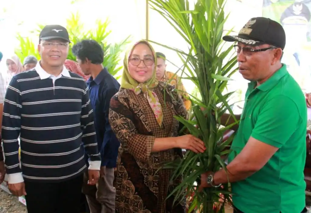 Gubernur Rohidin Beri Bantuan Alsintan dan Bibit Kelompok Tani