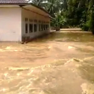 Langganan Banjir, Warga Kecamatan Tetap Minta Pemda Kaur Cari Solusi Langganan Banjir, Warga Kecamatan Tetap Minta Pemda Kaur Cari Solusi