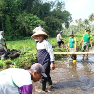 Manunggal dengan Rakyat, Satuan Kikav 8/KSC/2 Kostrad Jabung Gelar Karya Bakti Manunggal dengan Rakyat, Satuan Kikav 8/KSC/2 Kostrad Jabung Gelar Karya Bakti