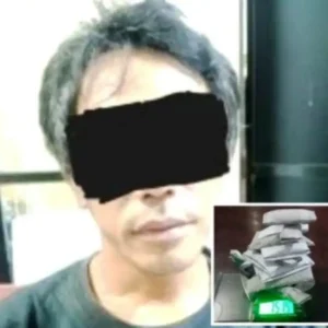 Simpan 24 Paket Siap Edar, Pengedar Ganja Diringkus Ditresnarkoba Polda Bengkulu