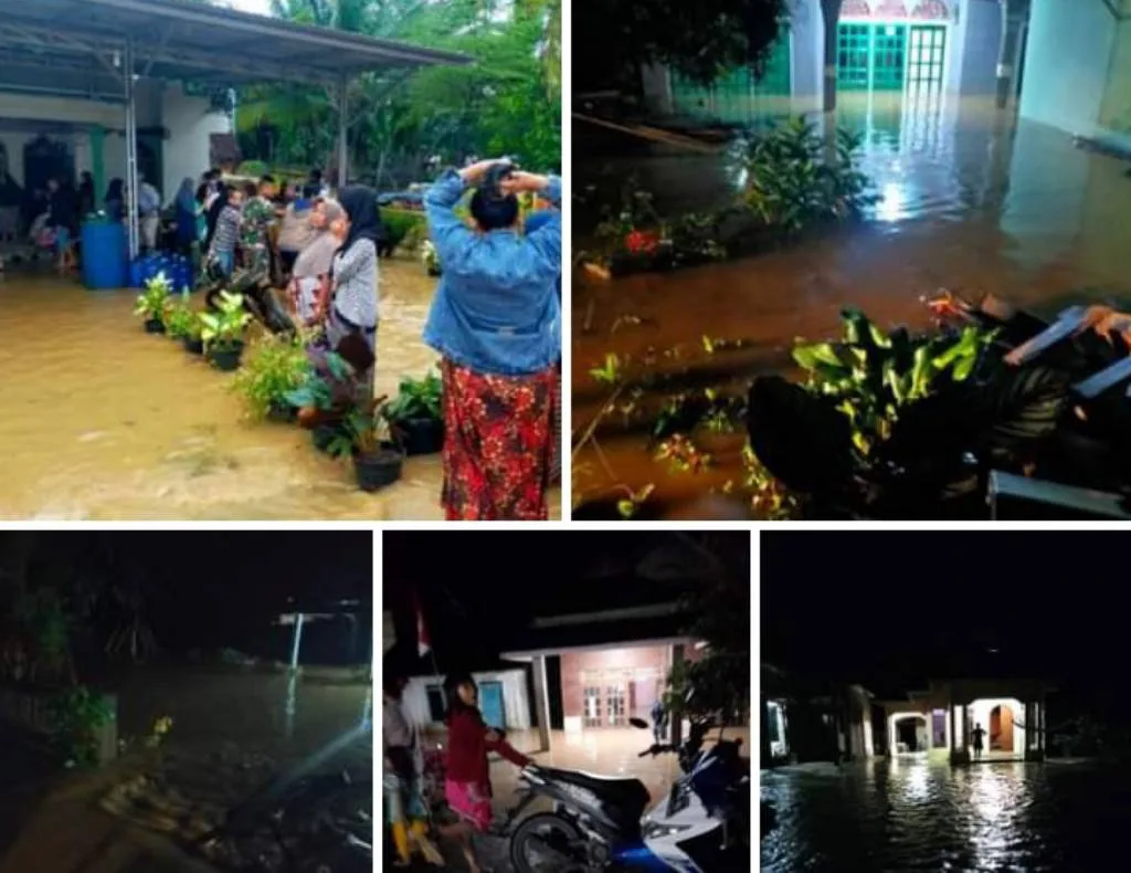 Banjir di Mukomuko, Aktifitas Perusahaan Perkebunan dan HPT Jadi Sorotan
